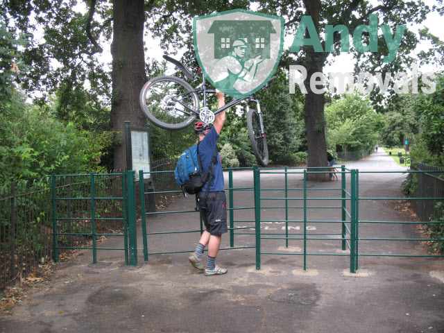 Andy Removal Maze Hill (SE10)